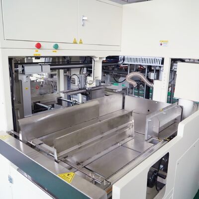 BMZB-302H100 Soft Draw  High Speed Packaging Machine 100 Bags/Min